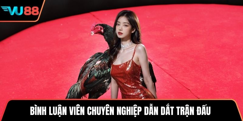 Bình luận viên chuyên nghiệp dẫn dắt trận đấu