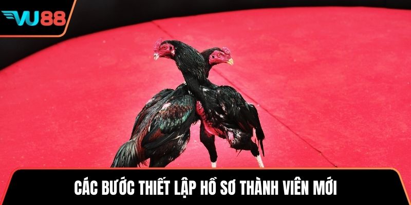 Các bước thiết lập hồ sơ thành viên mới